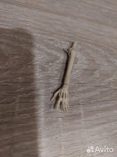 Рука Скелита монстр хай. продано