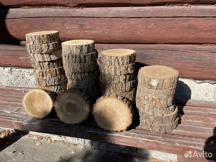 Спилы хвойные и березовые