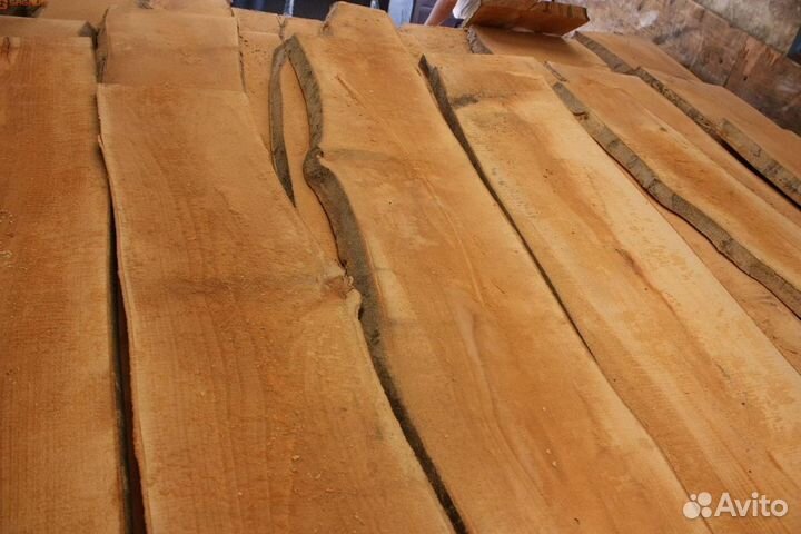 Доска береза