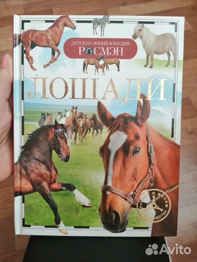 Лошади. Детская энциклопедия