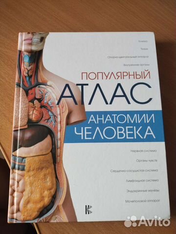 Популярный атлас анатомии человека, Палычева Л.Н. Открывался... купить ...