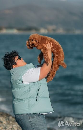 Кинолог Зоопсихолог с выездом Дрессировка