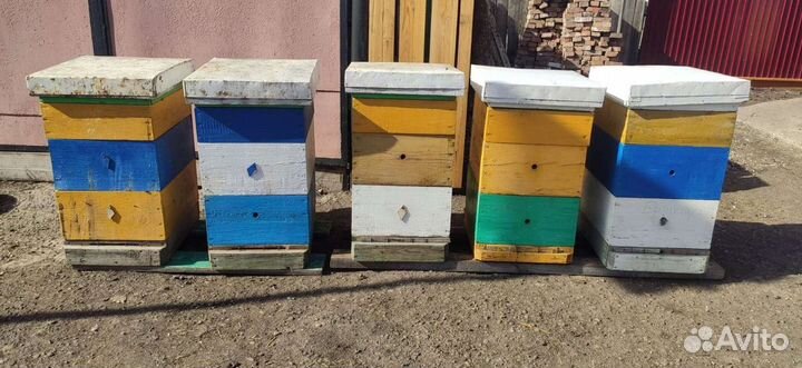 Улей для пчел