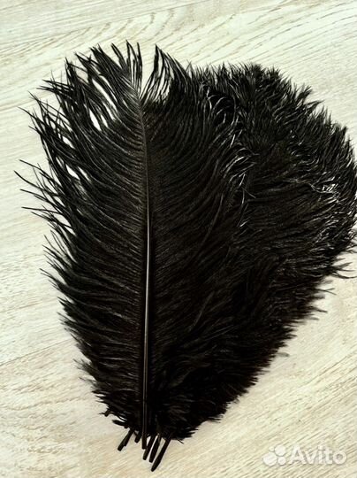 Перья страуса цветные