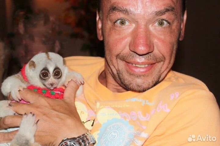 Внедрение стандартов сервиса для Загородного Отеля