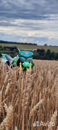 Продаю питбайк 125 кубов