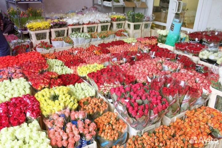 Менеджер на прием заявок на цветы оптом