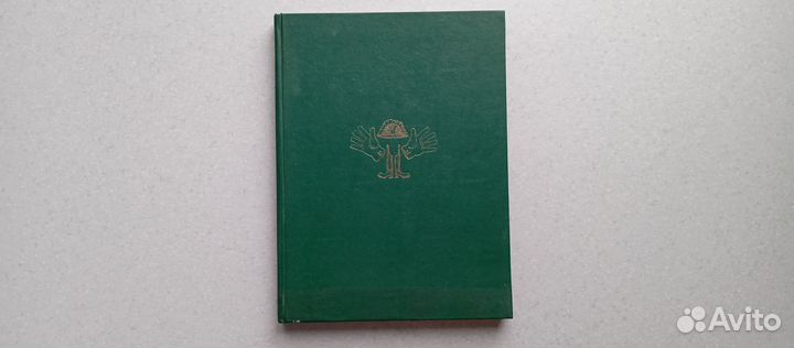 История одного города. 1981 (м.салтыков-щедрин)