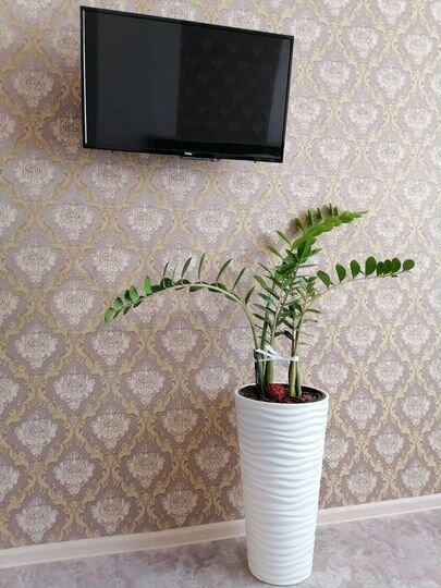 1-к. квартира, 40 м², 1/9 эт.