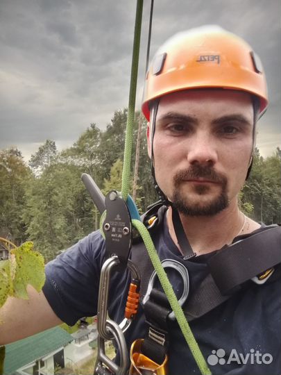 Спил и обрезка деревьев