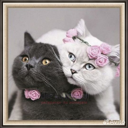 Алмазная мозаика 30x30 Кот и кошечка с украшениями