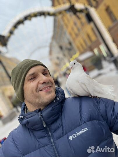 Ремонт стиральных машин