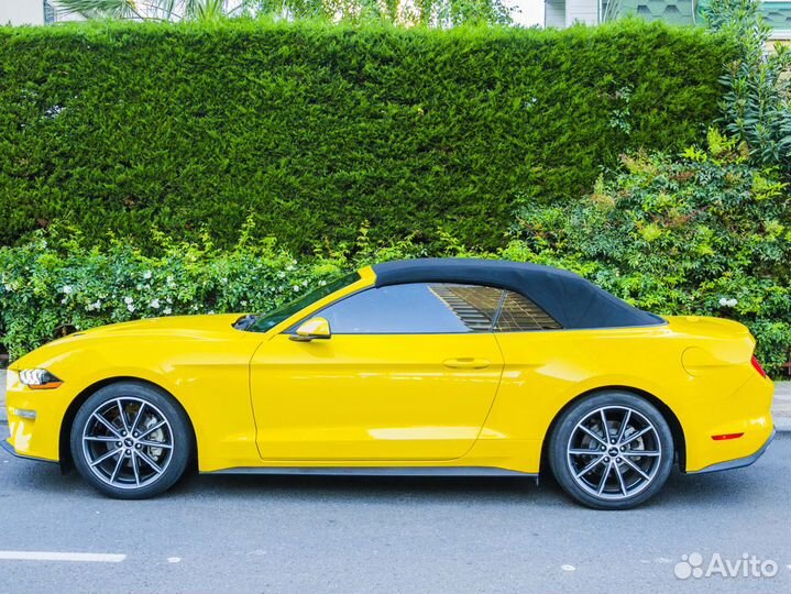Прокат Ford Mustang кабриолет Сочи Адлер Сириус