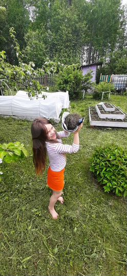 Дача 65 м² на участке 8,4 сот.