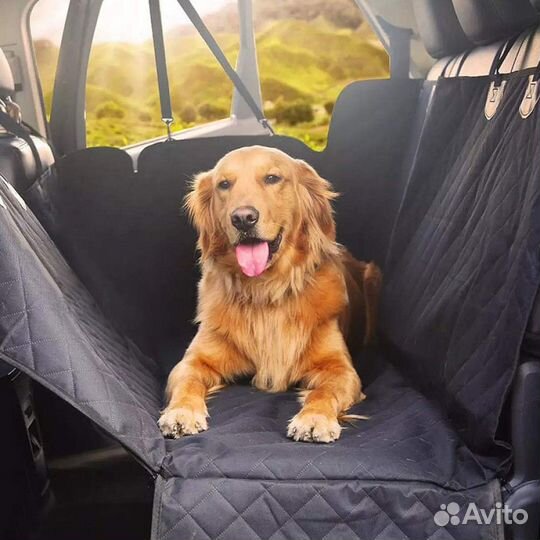 Зоотакси - такси для животных