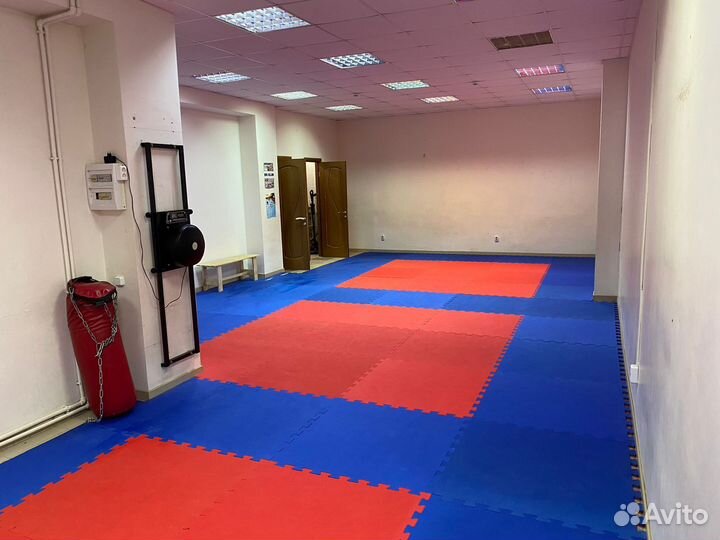 Тренировки по Тхэквондо /Аренда спортивного зала