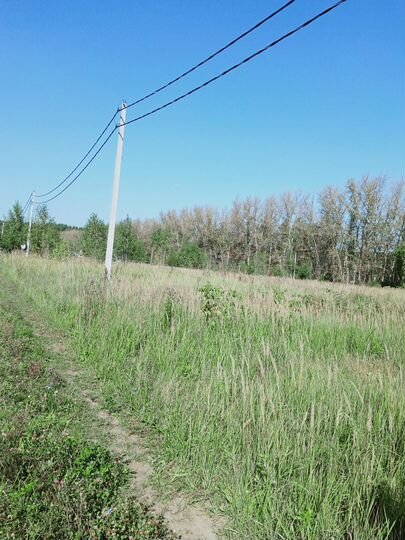 Участок 9,99 га (СНТ, ДНП)