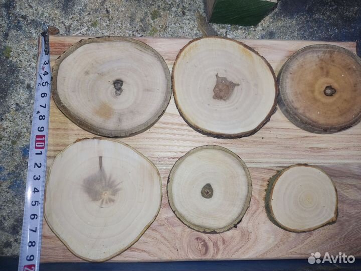 Спилы дерева