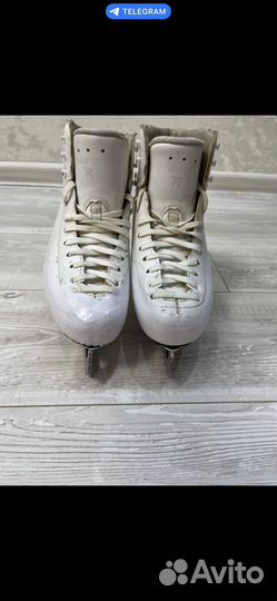 Фигурные коньки risport RF3 pro