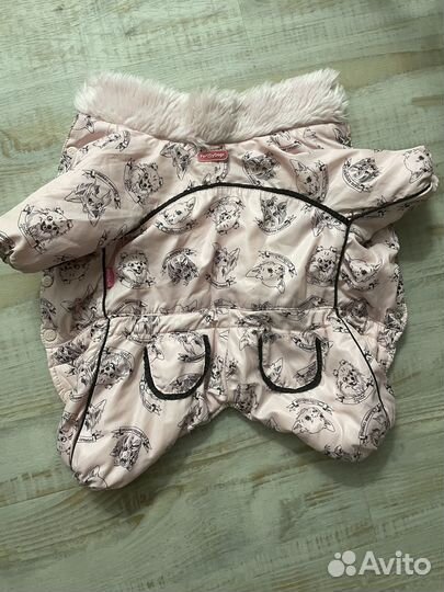 Комбинезон для маленькой собаки (суки) formydog