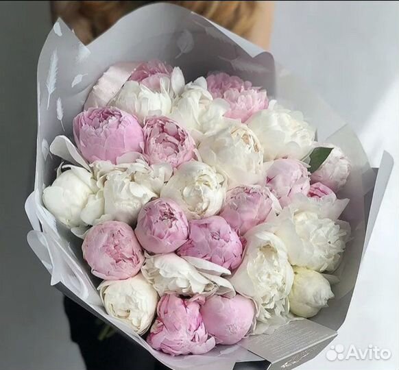 Пионы цветы букеты