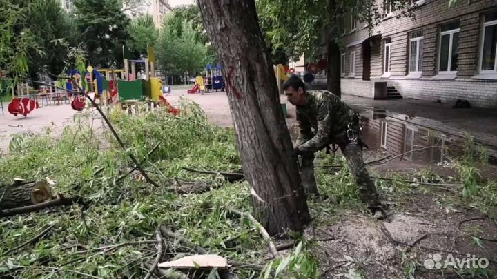 Расчистка участка от деревьев и кустарников