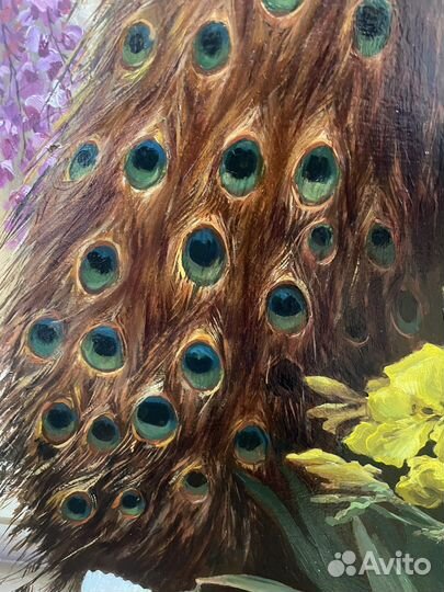 Картина маслом «Павлин и голуби»Долгополый А. А