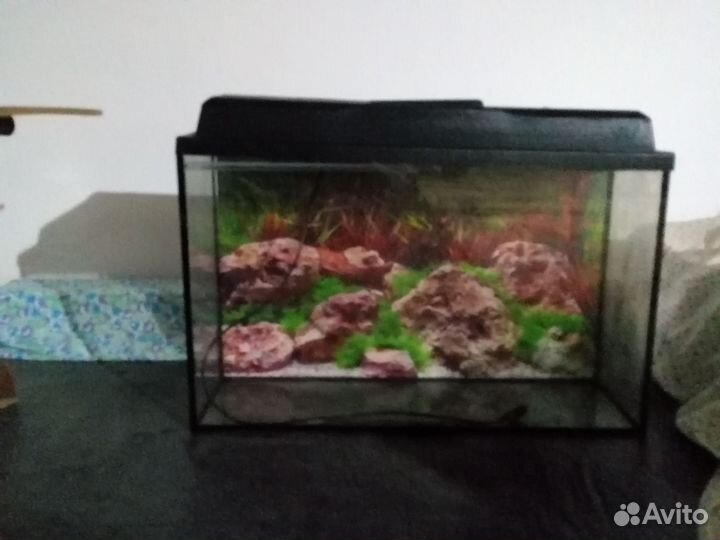 Аквариум
