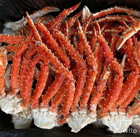 Краб камчатский