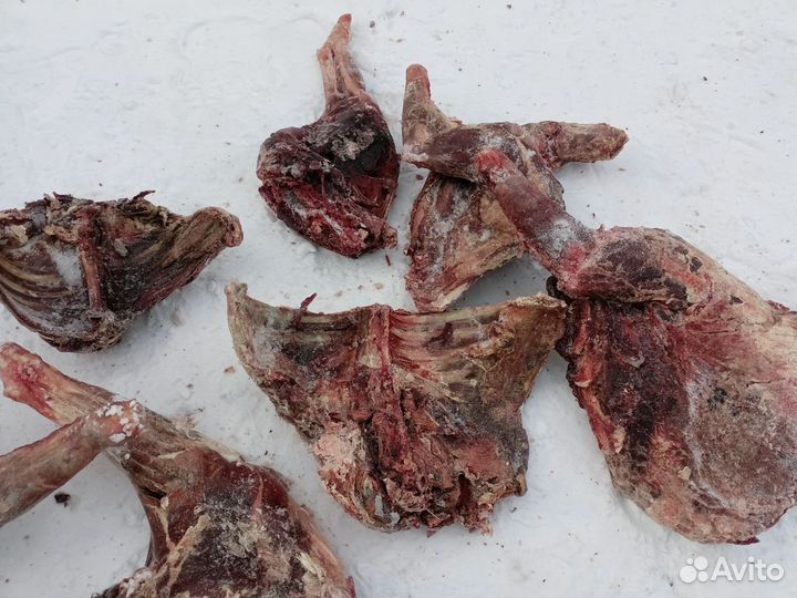 Продам мясо,на корм животным, 200р за килограм