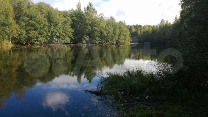 Участок 8 сот. (СНТ, ДНП)