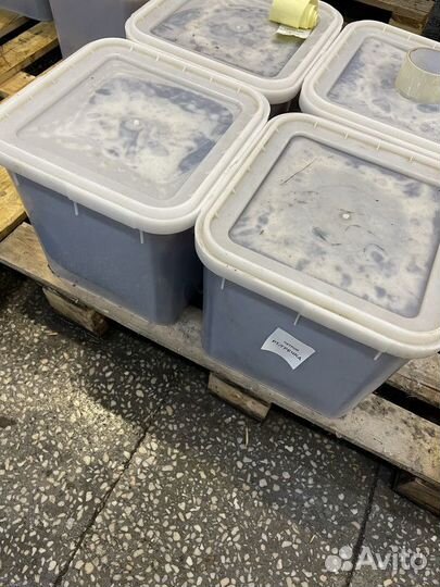 Эспарцетовый мёд. Качка 2023 г. Оптом