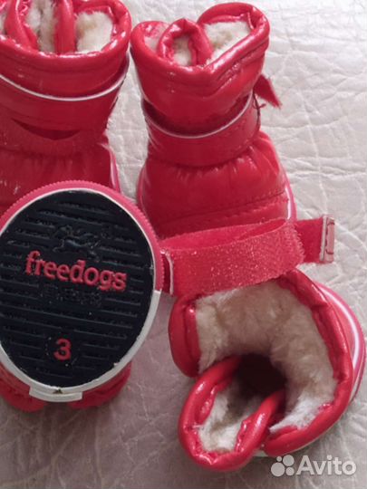 Ботинки для маленьких собак