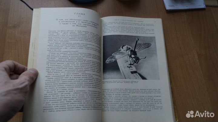 4797,17 Халифман И. Четырехкрылые корсары