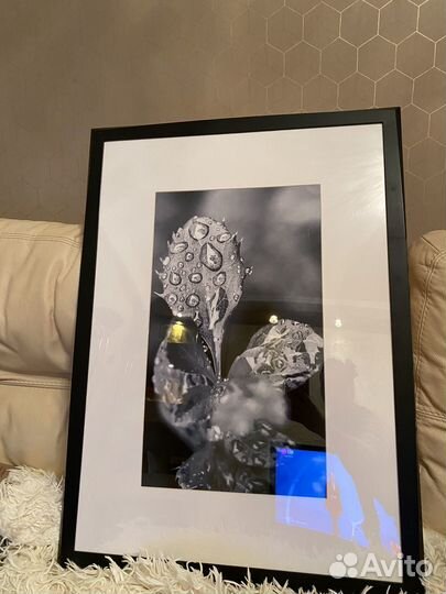 Картина постер IKEA икея