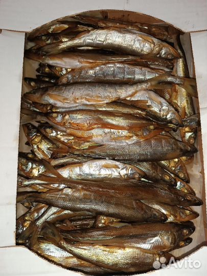 Копченая и вяленая рыба