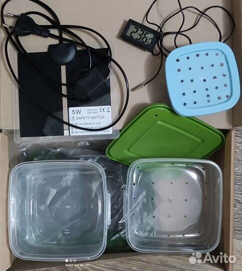 Инкубатор для яиц рептилий