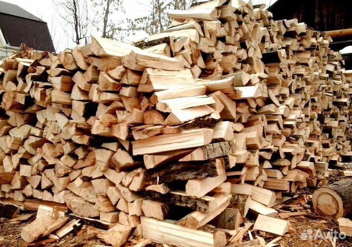 Дрова Береза