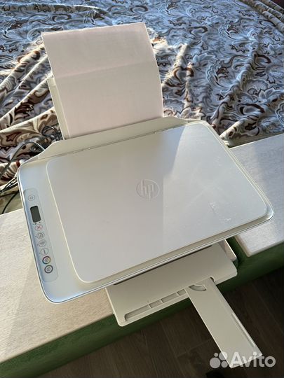 Принтер hp