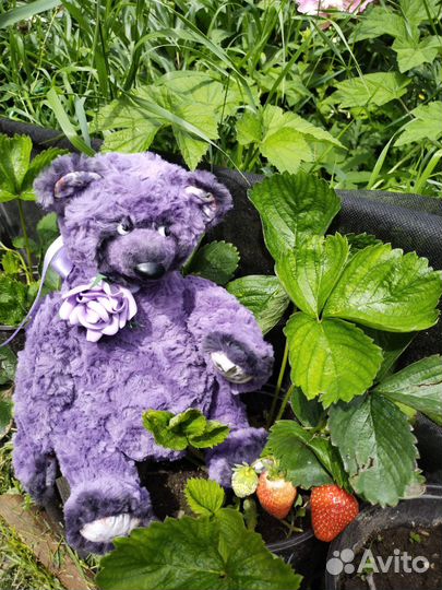 Мишка тедди ручная работа