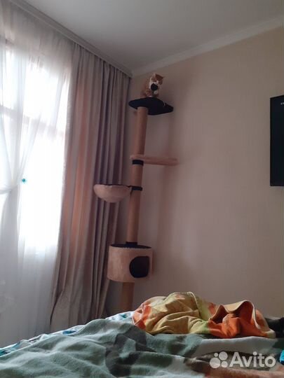 Когтеточка для кошек