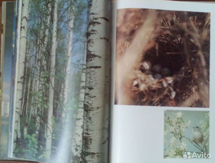 Фотоальбом 