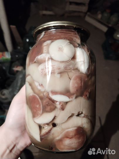 Грибы соленые и жареные