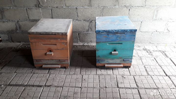 Улья, пчёлы