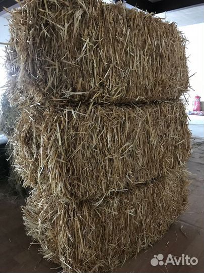 Сено в тюках