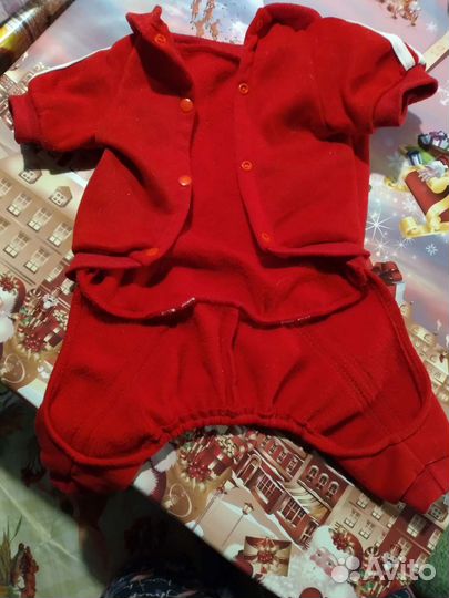 Одежда для животных