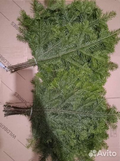 Пихтовые веники для бани