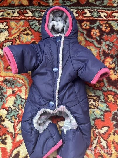 Одежда для собак мелких пород