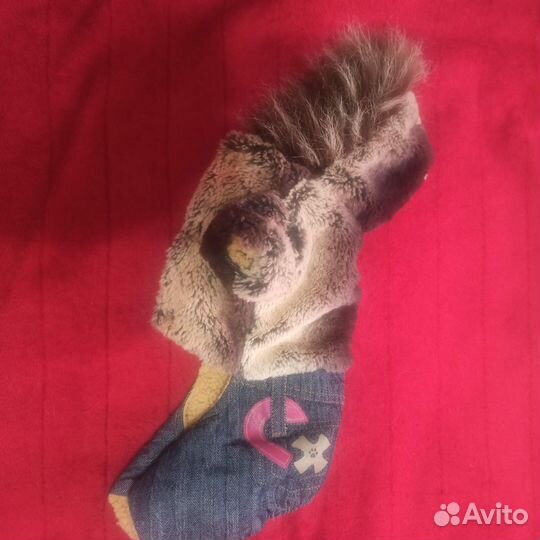 Одежда для маленьких собак