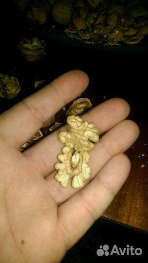 Грецкие орехи